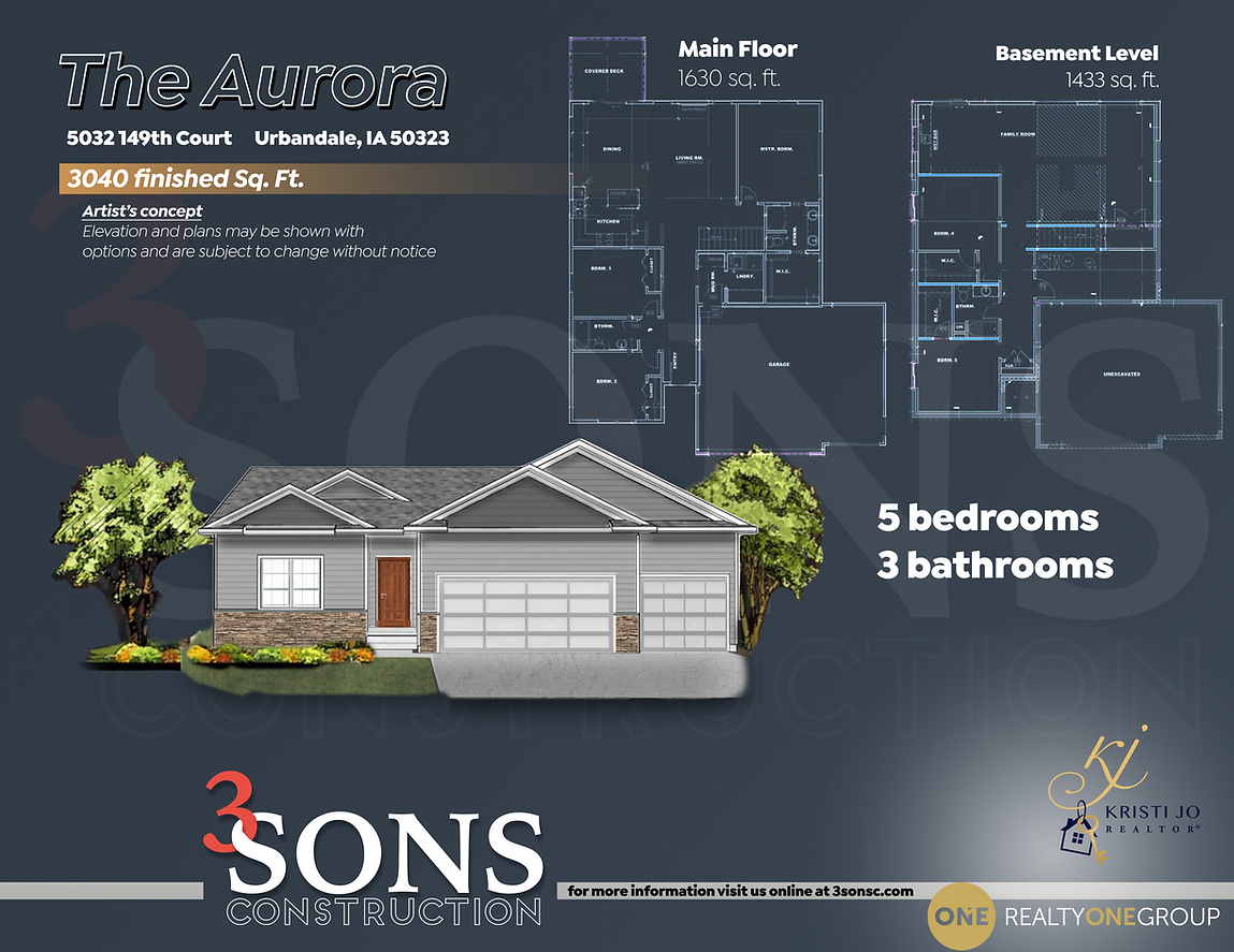 The Aurora Plan Outline